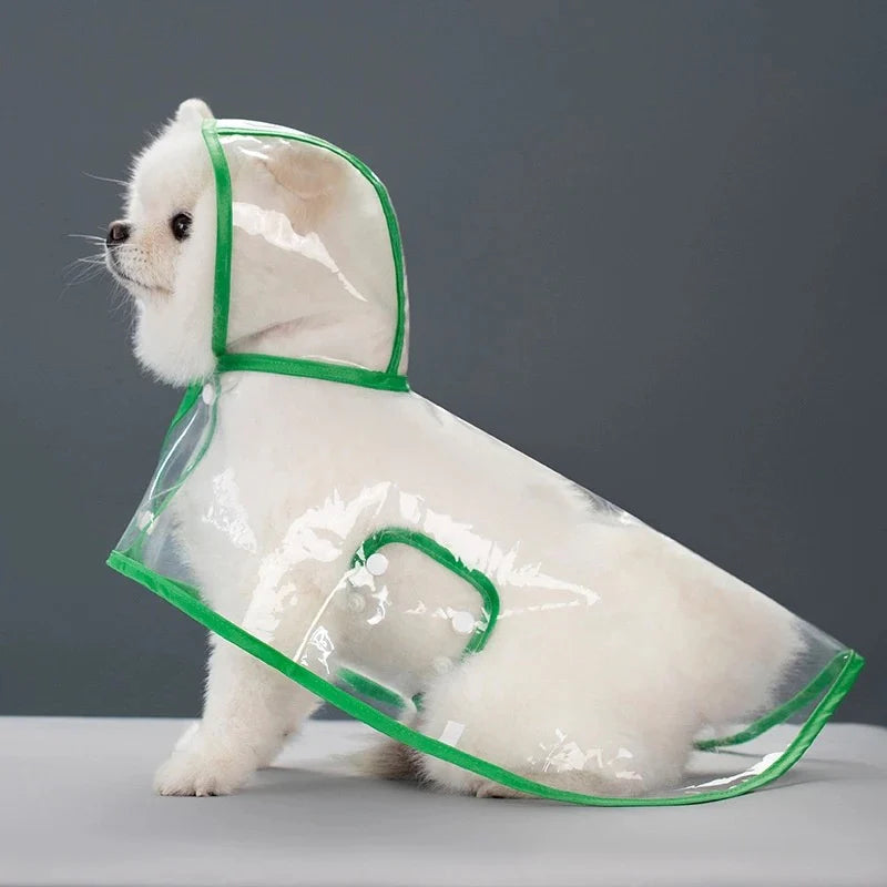 Transparent Raincoat